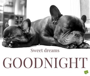 -good-night-quote-images-dog-sweet dreams