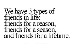 Cute quotes about life and friends images