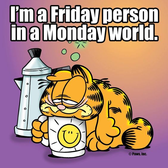Garfield I Hate Mondays Wallpaper | The Random Vibez