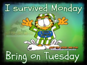 Garfield Monday Comic Img