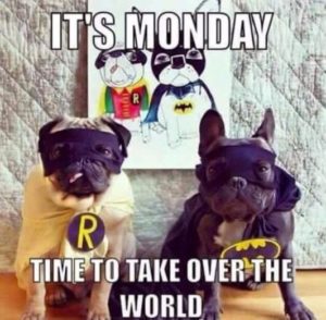Monday Motivation Picture