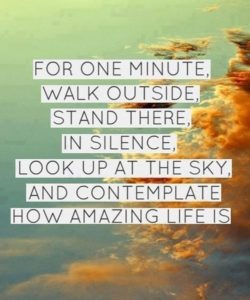 Attitude of Gratitude Sayings