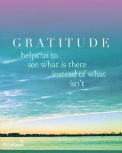 Gratitude is the Best Attitude Quote