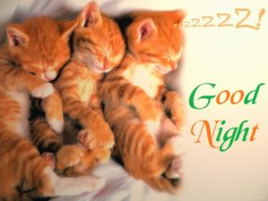 CuteGood Night Images HD
