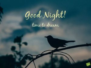 GoodNightImages