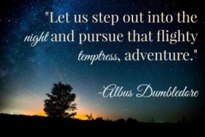 Dumbledore Quotes Adventure