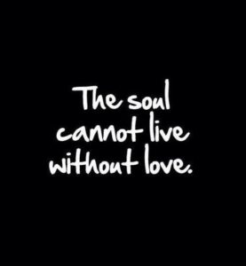 Beautiful Soul and Love Quotes