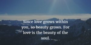 Love and Soul Quotes