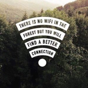 Quotes about Life with Nature