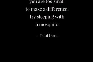 Dalai Lama Mosquito Quote