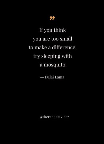 Dalai Lama Mosquito Quote