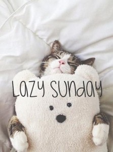 Lazy Sunday Quotes images