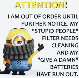 best-minion-pictures-quotes-lol