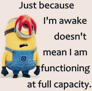 funny-minions-quotes-pictures