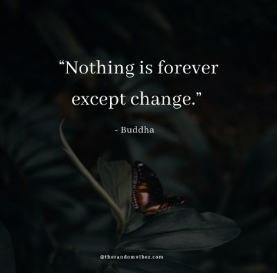 Inspirational Quotes About Change Buddha