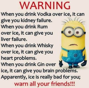 minion-quote