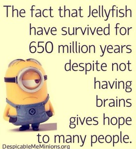 sarcastic-minion-quotes with images