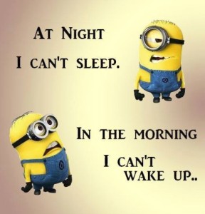 so-true-minion-quotes