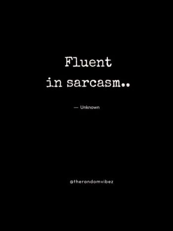 funny quotes on sarcasm