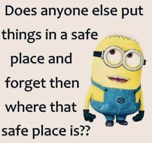 happens-all-the-time-minion-quotes