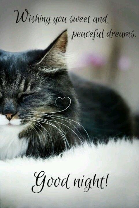 70 Cute Good Night Images, Pictures, Quotes, Wishes for Him 70 Cute Good Night Images, Pictures, Quotes, Wishes for Him