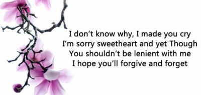 Best I'm Sorry Quotes