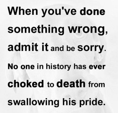 I'm Sorry Quotes