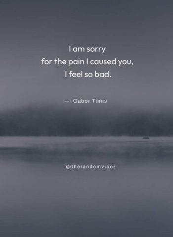 I'm sorry quotes