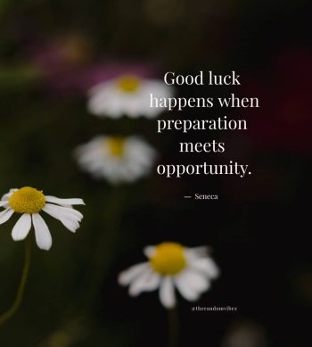 good luck images