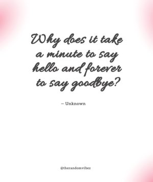 goodbye quotes love