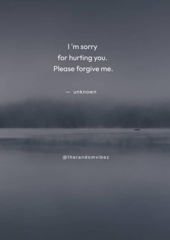 i m sorry quotes for him