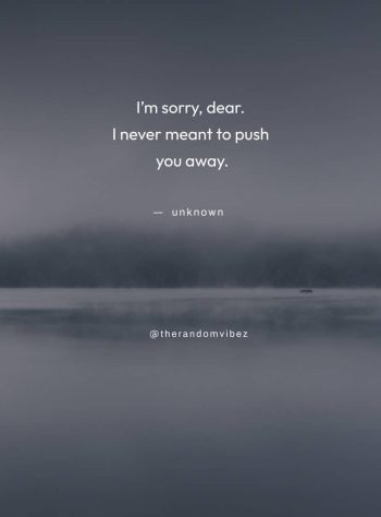 sorry love quotes