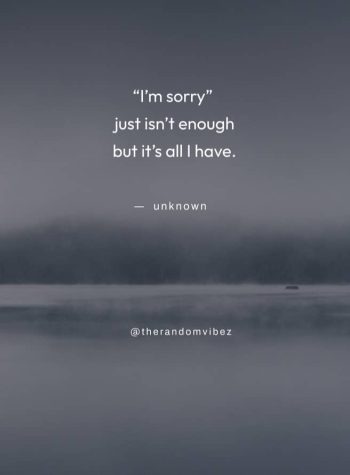 sorry sayings