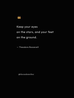 Famous theodore roosevelt quotes