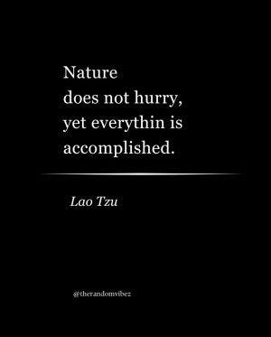 Lao Tzu Sayings