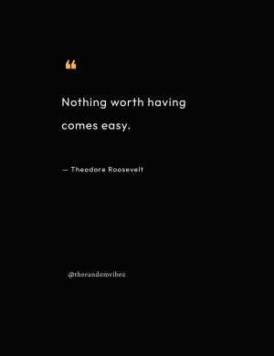 quotes by teddy roosevelt