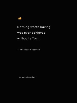 quotes by theodore roosevelt