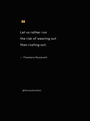 quotes from theodore roosevelt