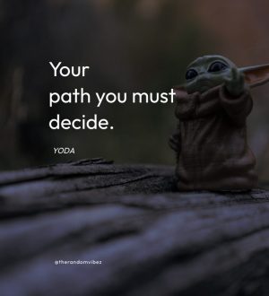 quotes from yoda