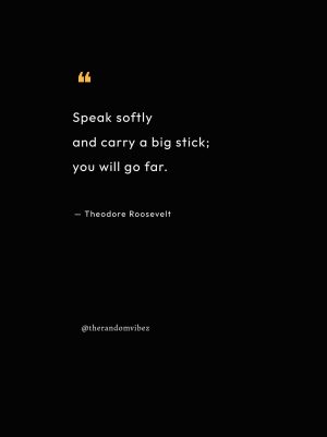 quotes theodore roosevelt