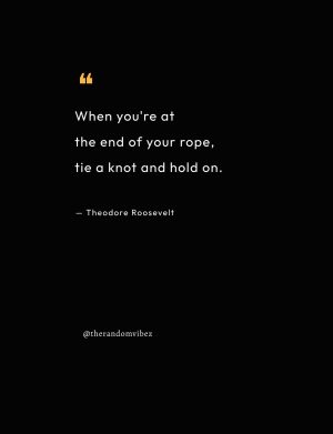 teddy roosevelt quotes images