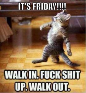 tgif funny quotes