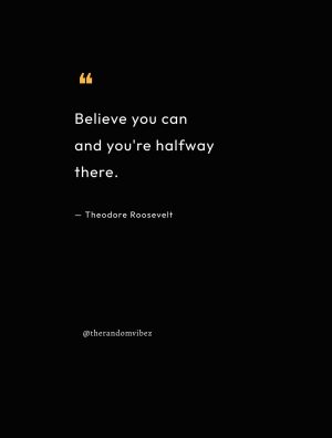 theodore roosevelt quotes