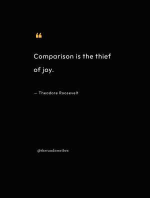theodore roosevelt quotes about life