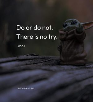 yoda try quote