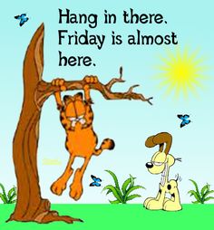 Garfield Cute 75 Happy Thursday Quotes and Images