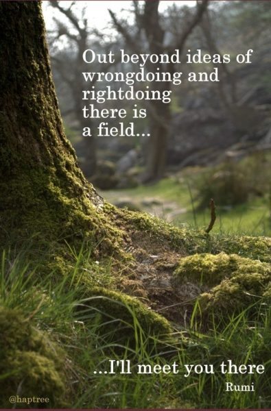 Beautiful Rumi Quotes Images