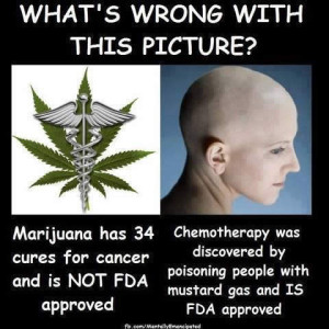 Marijuana Cancer Quotes images