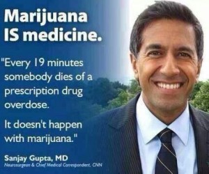 Medical Marijuana Quotes Images
