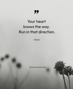 Rumi Quotes On Love